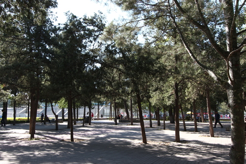 A park on the BIT campus
